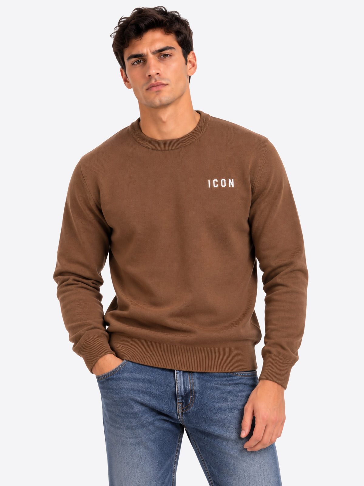 Maglione ICON da Uomo - beige IUPREM003CAMMELLO