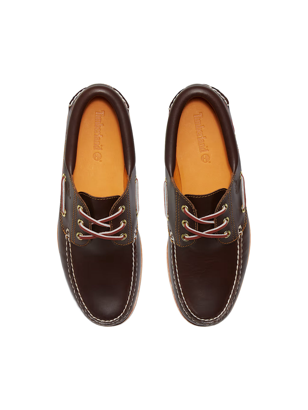 Sneakers TIMBERLAND da Uomo - marrone TB030003214 MARRONE