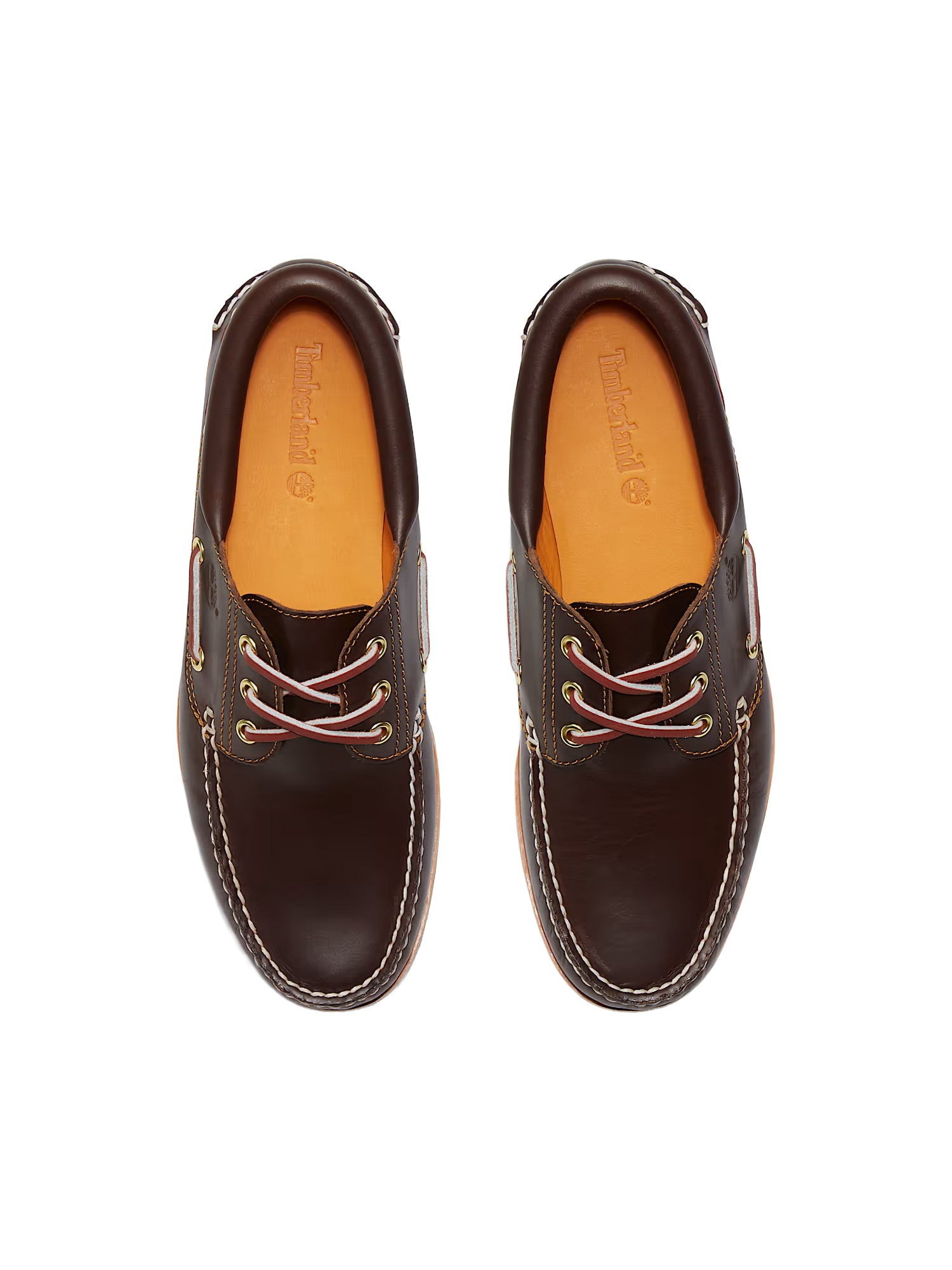 Sneakers TIMBERLAND da Uomo - marrone TB030003214 MARRONE