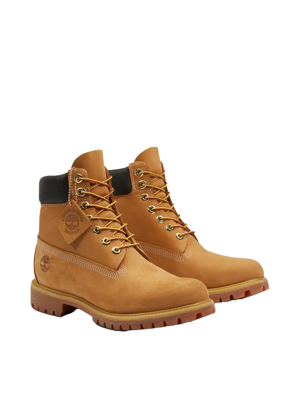 Sneakers TIMBERLAND da Uomo - giallo TB110061713 WHEAT