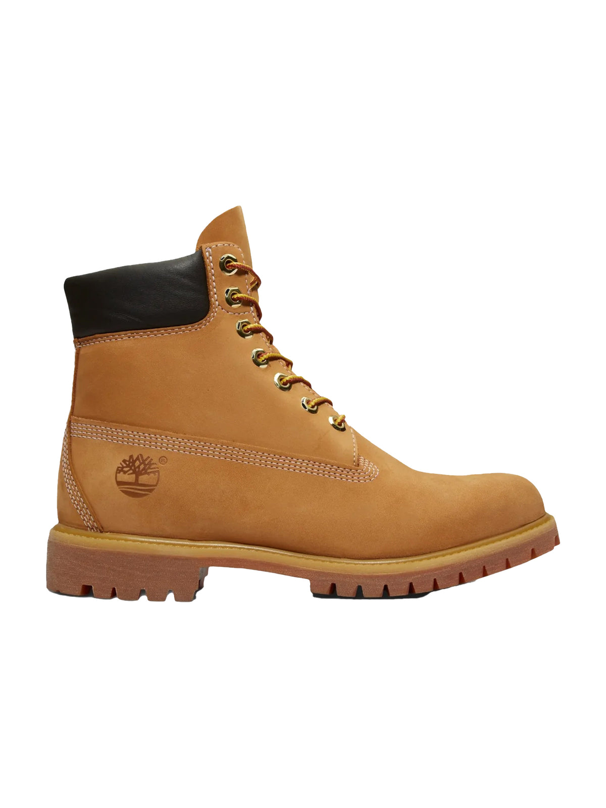 Sneakers TIMBERLAND da Uomo - giallo TB110061713 WHEAT