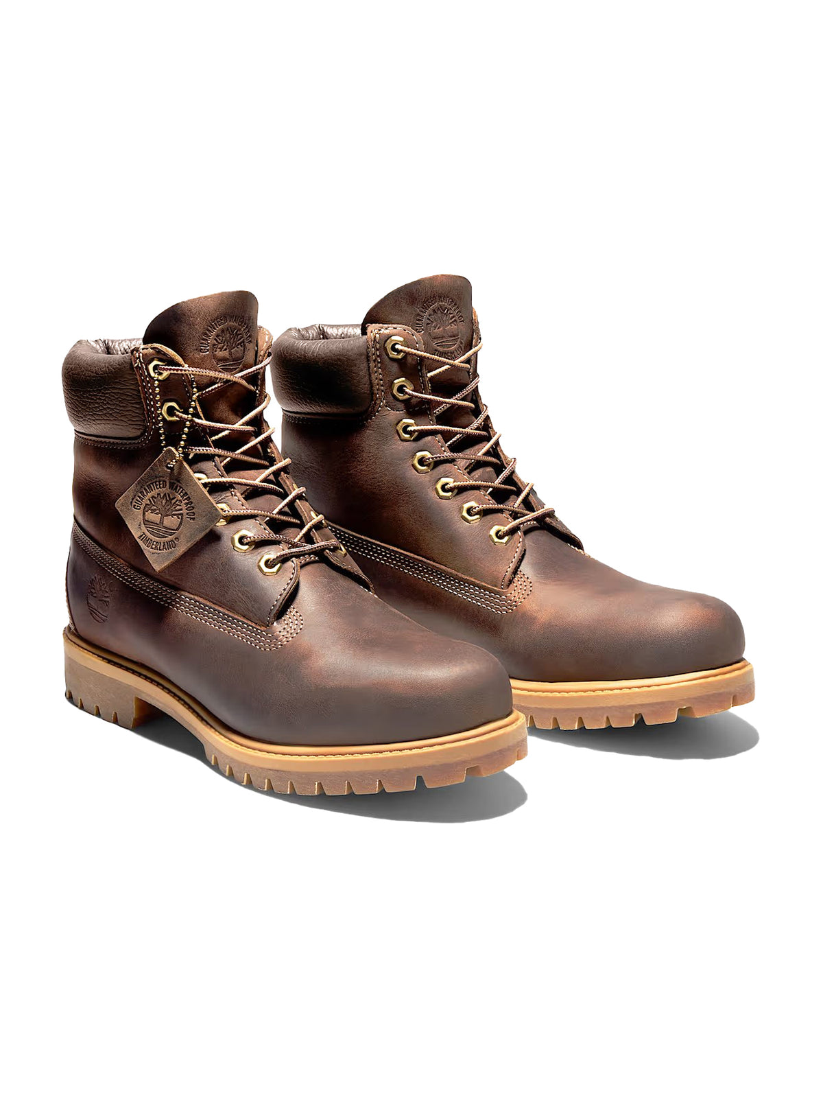 Sneakers TIMBERLAND da Uomo - TB127097214 MARRONE