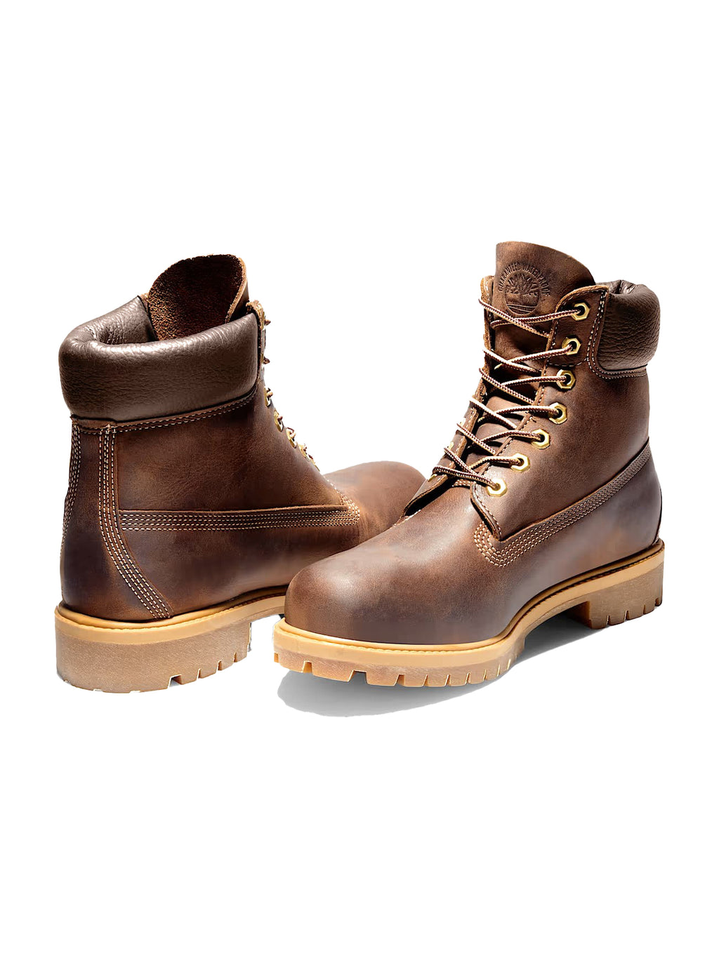 Sneakers TIMBERLAND da Uomo - TB127097214 MARRONE