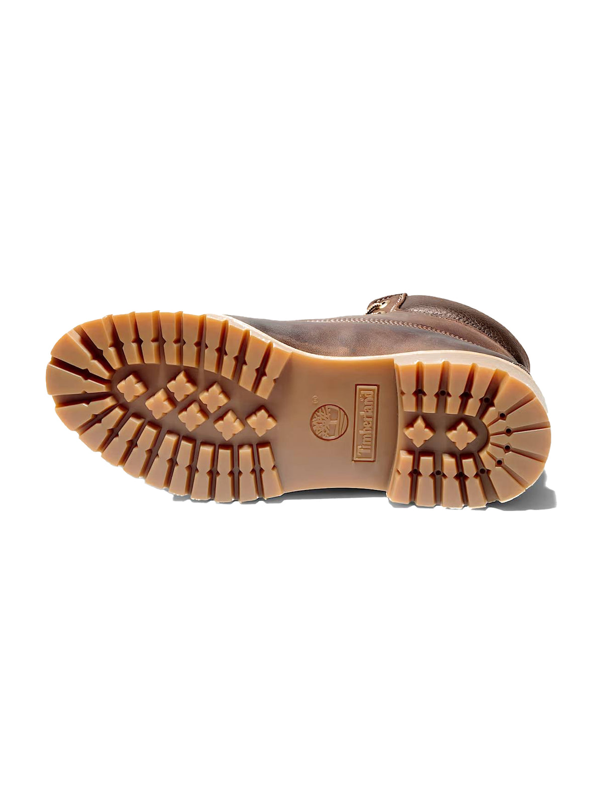 Sneakers TIMBERLAND da Uomo - TB127097214 MARRONE