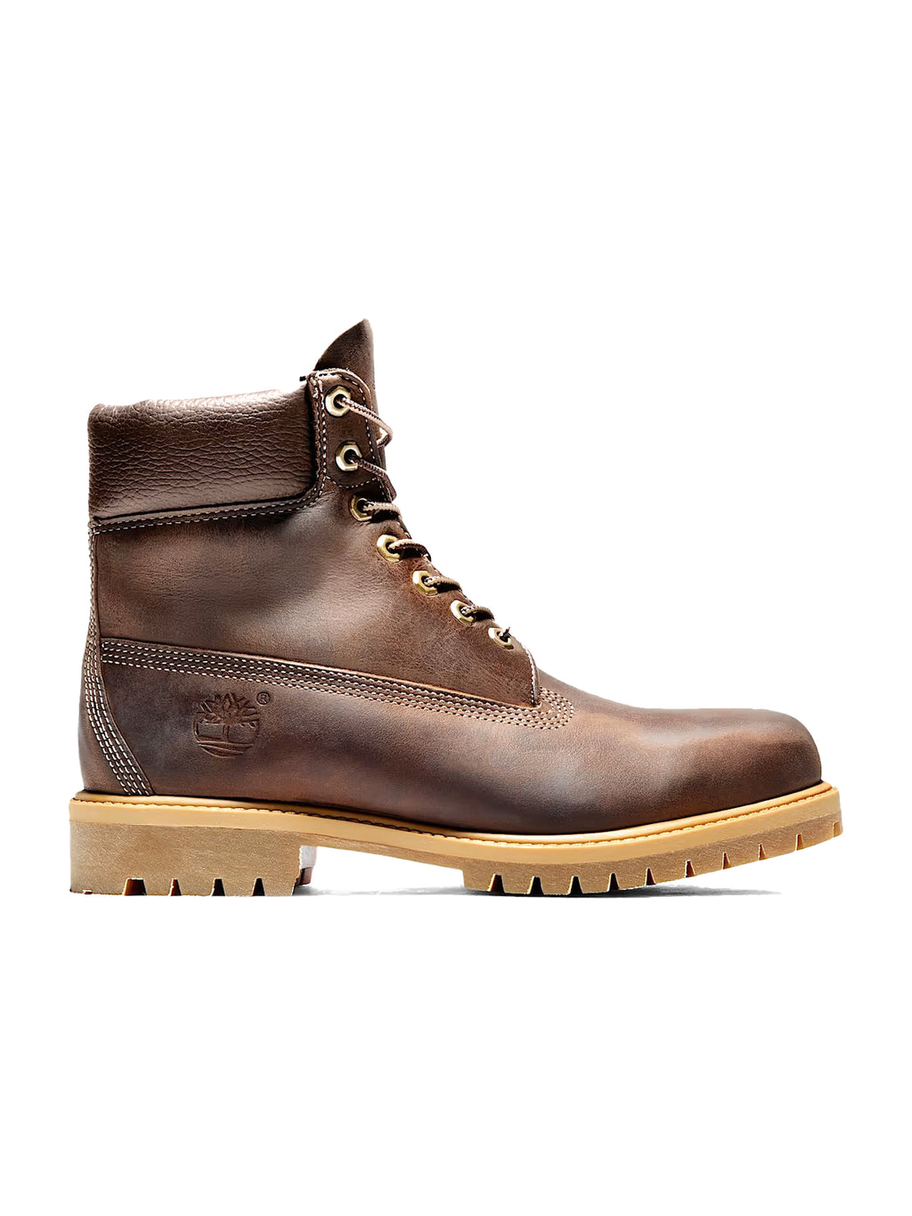 Sneakers TIMBERLAND da Uomo - TB127097214 MARRONE